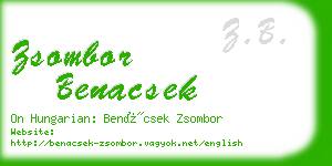 zsombor benacsek business card